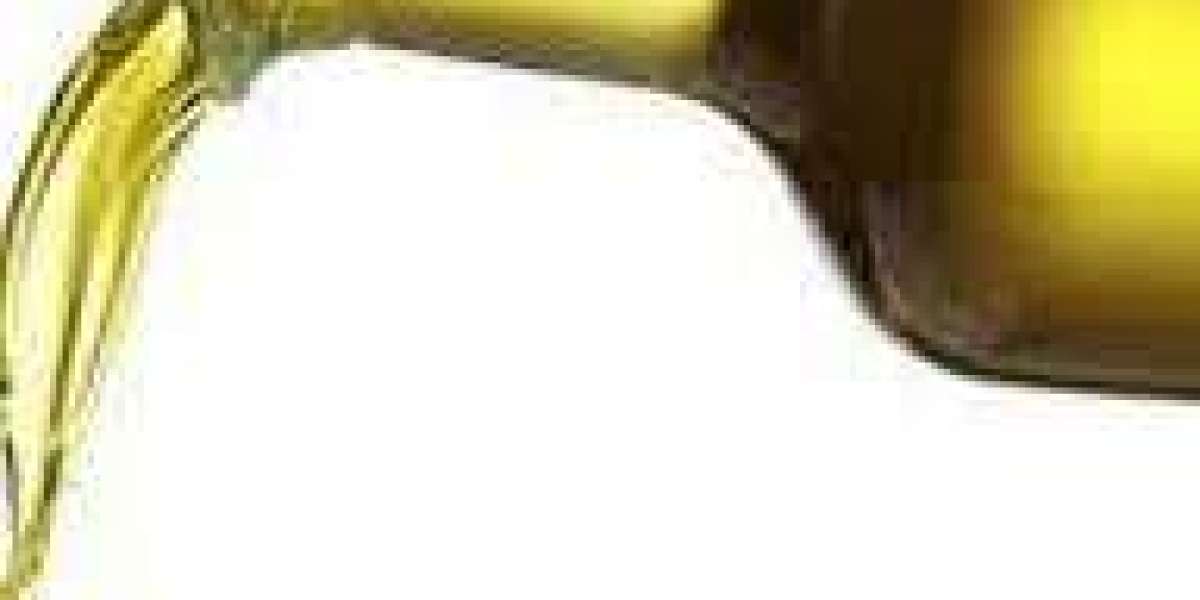 Algae Oil Market Expansion Driven By Rising Nutraceutical Applications Across Global Health-Conscious Consumer Segments