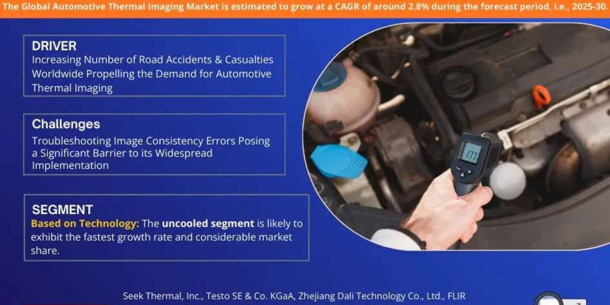 Automotive Thermal Imaging Market Forecast to 2030: Size, Share & Growth