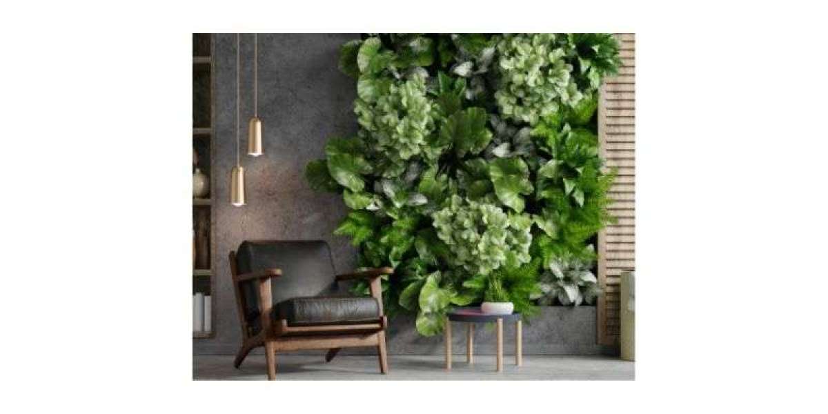 Corporate Plant Rental Services, Transforming Workspaces with Nature | Hasiru Life