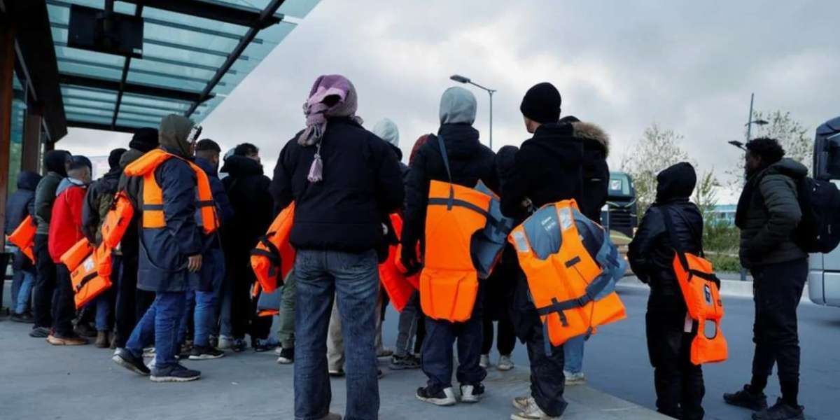 The Strategist's Guide: Navigating the Critical Crossroads in a UK Deportation Case