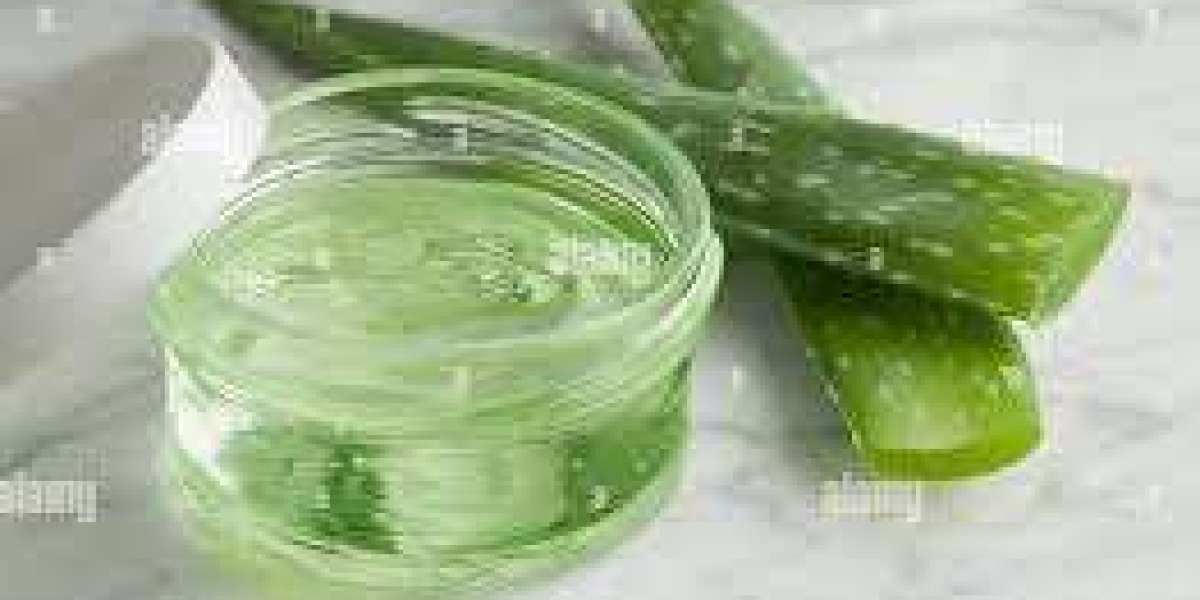 Aloe Vera Extracts Market Growth Influenced By Increasing Demand For Organic Health Supplements