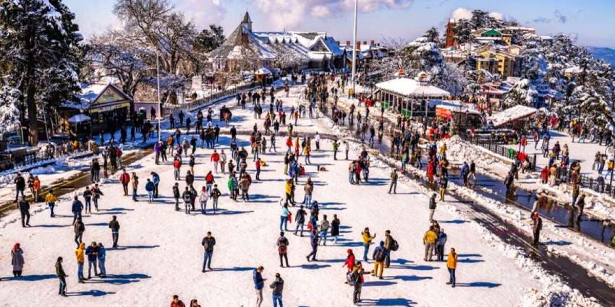 How Can People in Shimla Turn Their Unused Space into a PeerVault Listing?