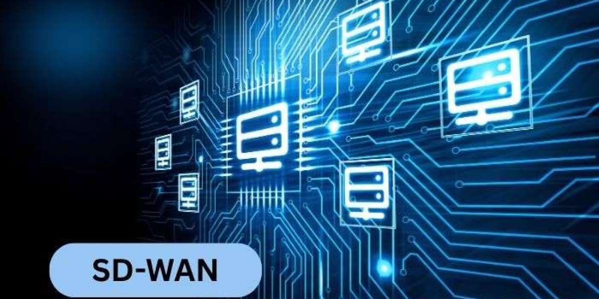 SD-WAN Market Outlook 2025: Growth Trends, Drivers & Innovation