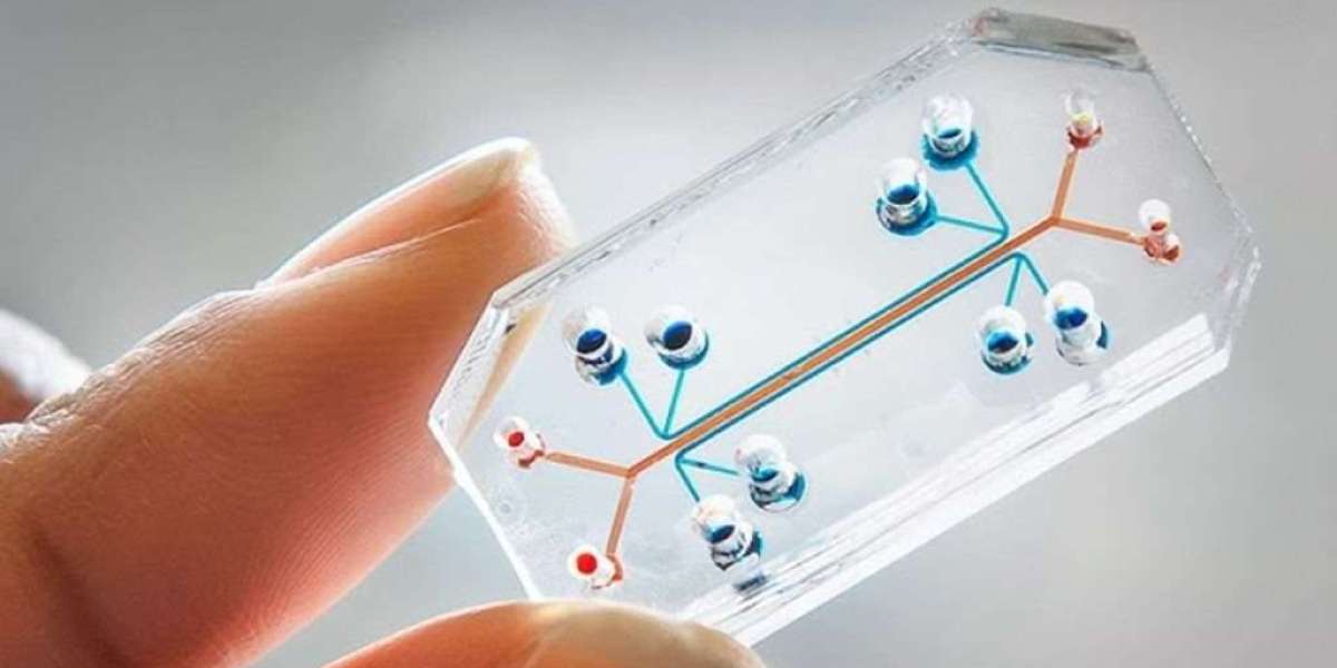 India Microfluidics Market Growth, Size, and Trends Forecast by 2033