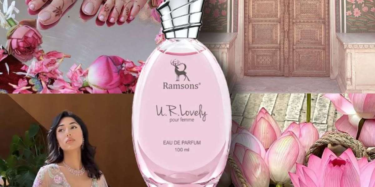 Budget Perfumes for Women That Feel Light and Comfortable