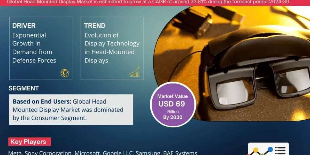 Head Mounted Display Industry Insights & Future Growth by 2030
