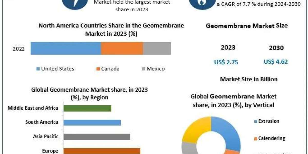 Geomembrane Market Comprehensive Industry Overview and Future Prospects 2024-2030