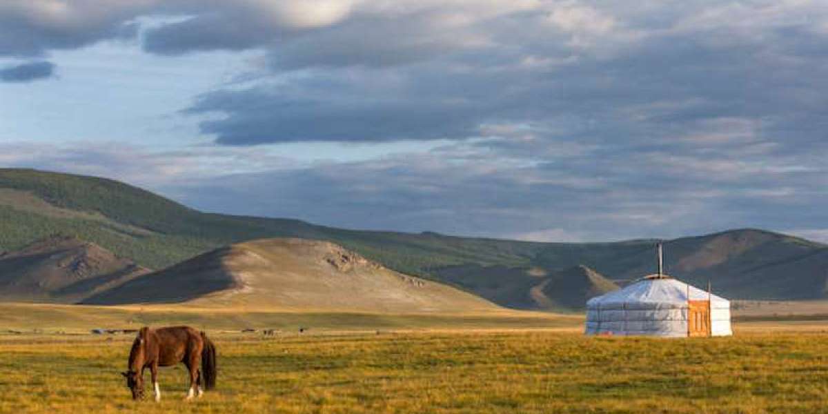 What Draws Travelers to Mongolia’s Vast, Untouched Nomadic World?