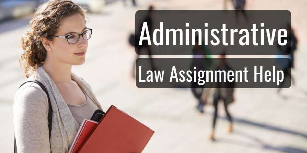 What Is Administrative Law, and Why Is It Important?