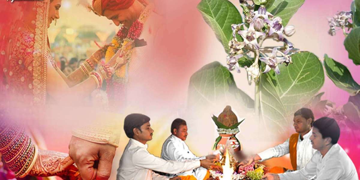 Ark Kumbh Vivah Puja in Ujjain – A Sacred Ritual for Mangal Dosh & Marital Harmony