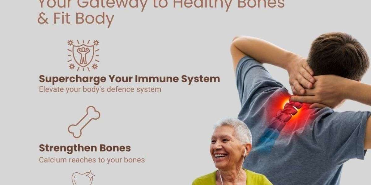 What Are the Top 7 Immune Support Supplements You Need to Boost Your Health in the UK?