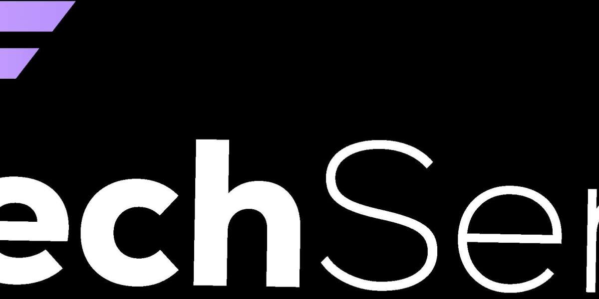 Why Businesses Should Invest in Professional Web Development Services