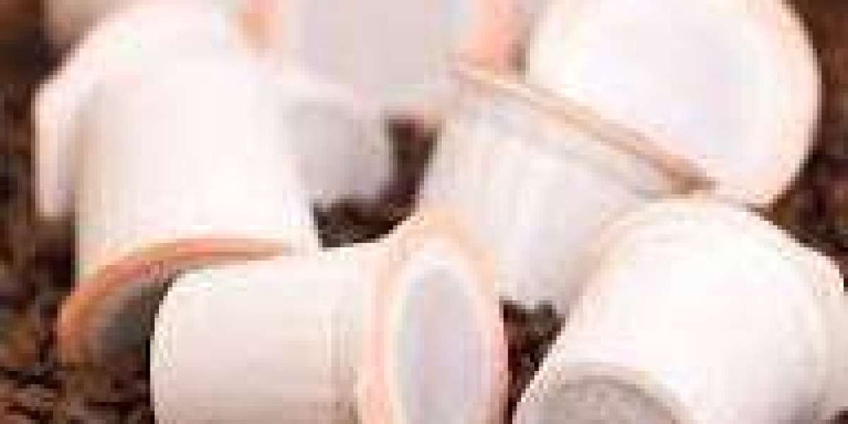 Coffee Capsule Market premium packaging designs influencing shelf appeal