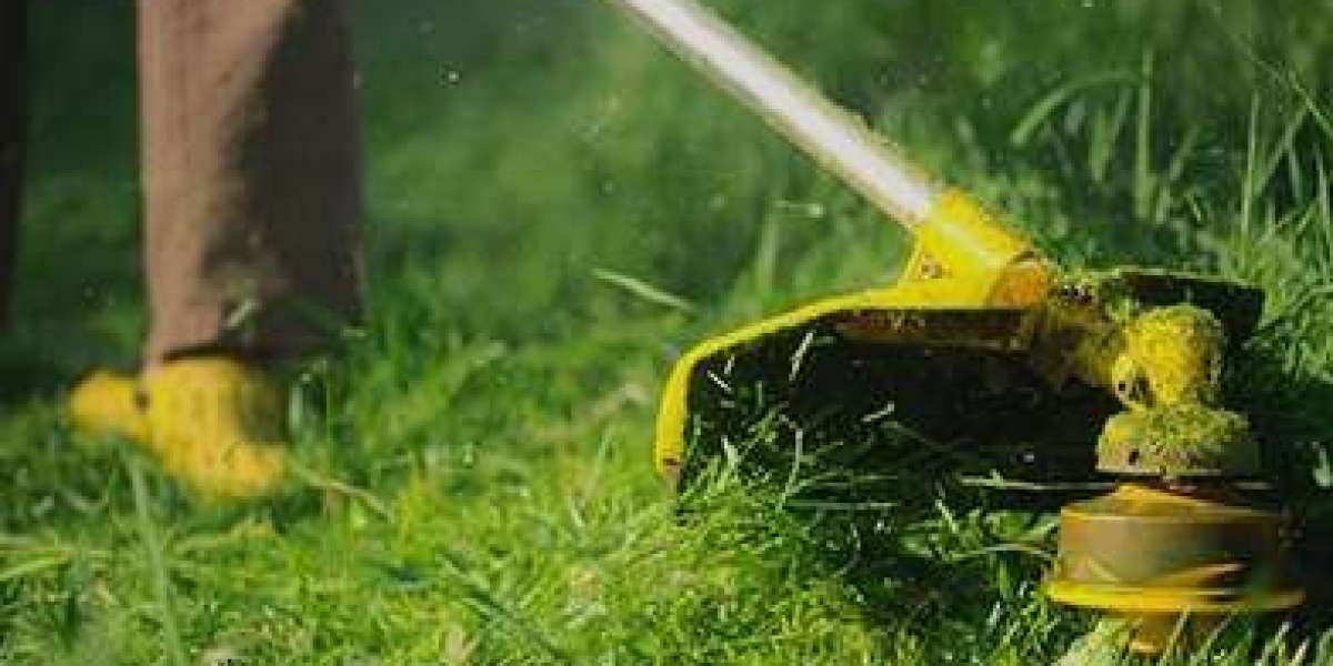 Garden Maintenance Little Bay – Professional & Reliable Gardening Services