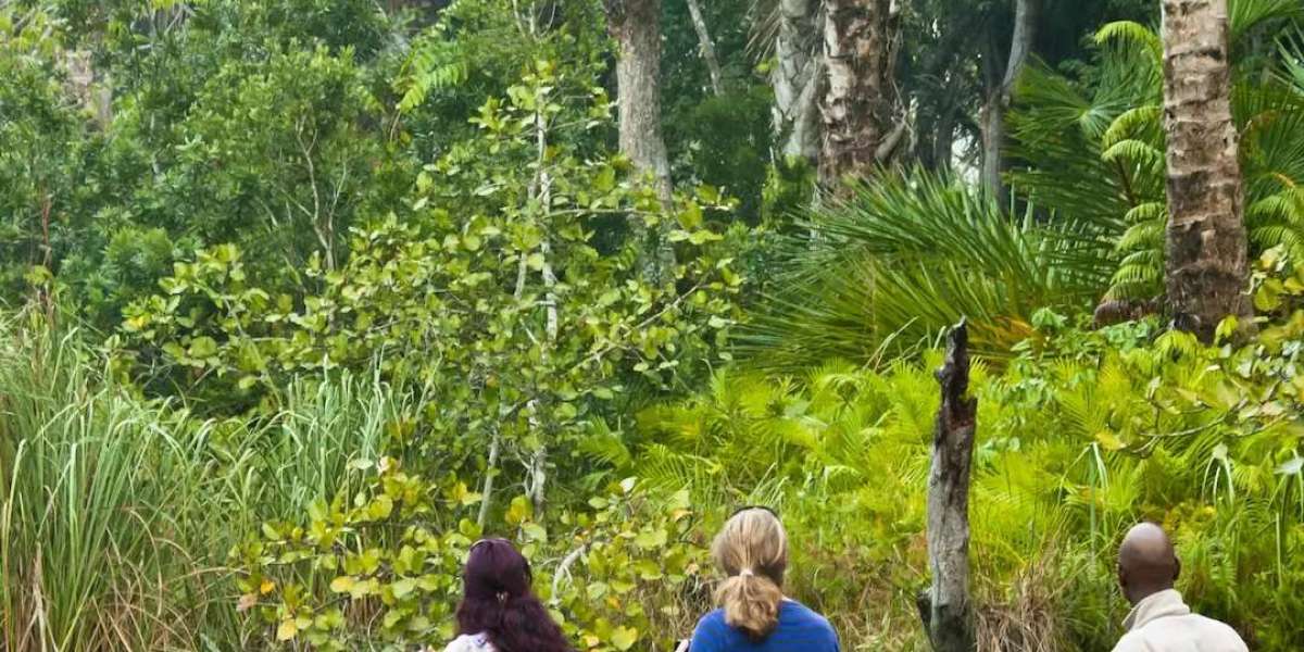 Responsible Tourism in Manu National Park: What Every Traveler Should Know