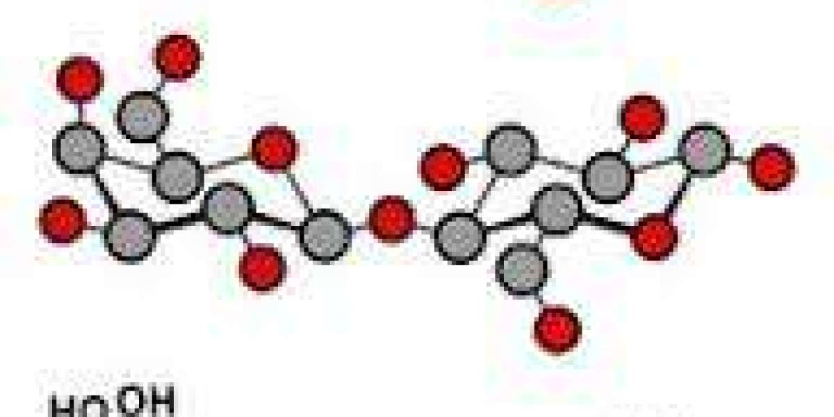 Lactase market innovation drivers linked to enzyme engineering and process optimization