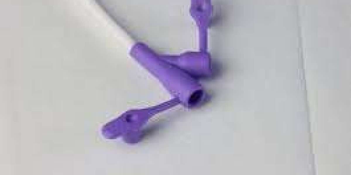 Feeding Tubes Market Research Overview of Technological Adoption, Revenue Generation, and Market Competitiveness