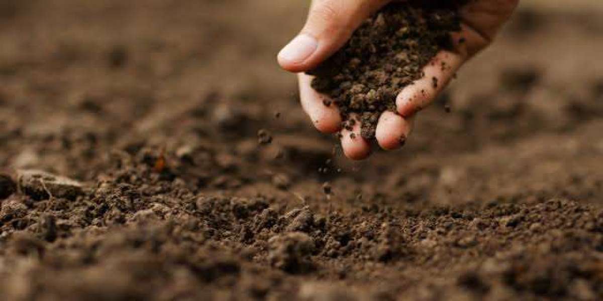 Quality, Contaminant Control, and Specification-Driven Procurement in Manufactured Soil Market