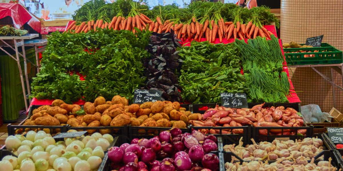 Organoids Market Outlook: Growth, Trends, and Investment Opportunities