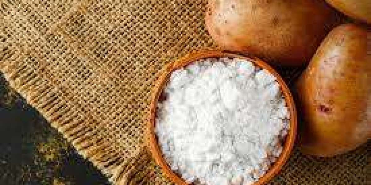 Film Forming Starches Market Insights Highlighting Structural Demand and Industry Usage Patterns