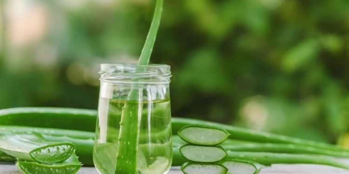 Aloe Vera Extracts Market Trends: Top 5 Insights Shaping Industry Growth