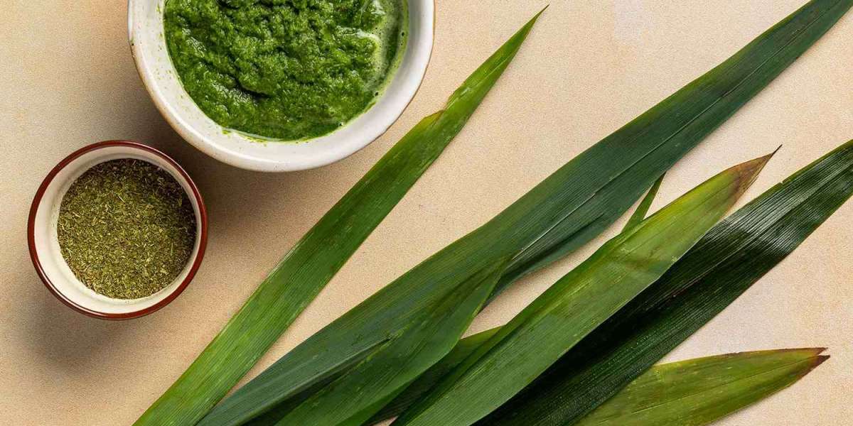 Pandan Extract Market Competitive Strategy: Sourcing, Standardization, and Formulation Differentiation
