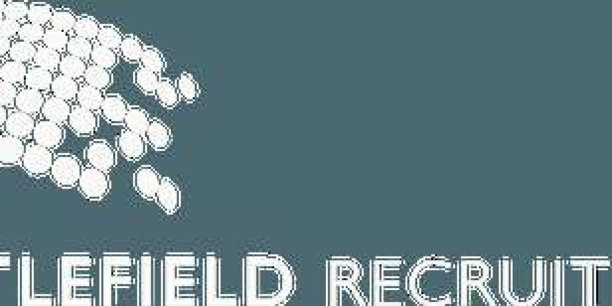 Public Sector Staff in the United Kingdom: Roles, Responsibilities, and Impact