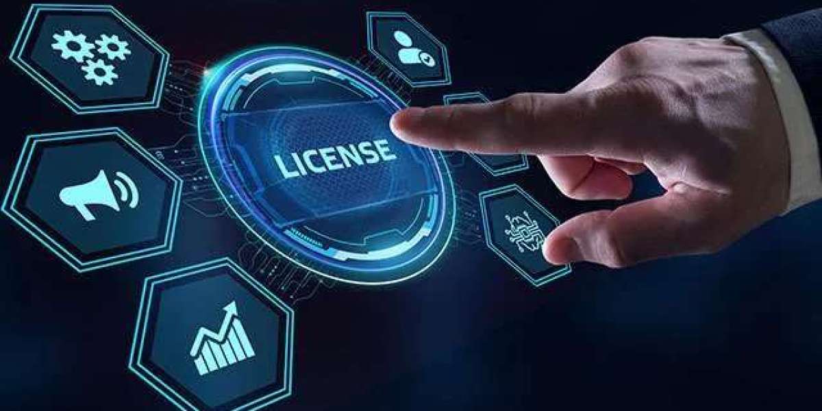 Virtual Machines and Cloud Environments: The New Frontiers of Software Licence Risk