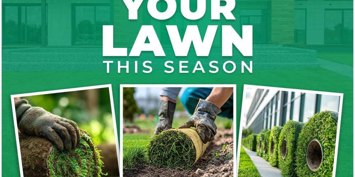 DJ Queen Dani – Premium DJ Hire Services in Melbourne