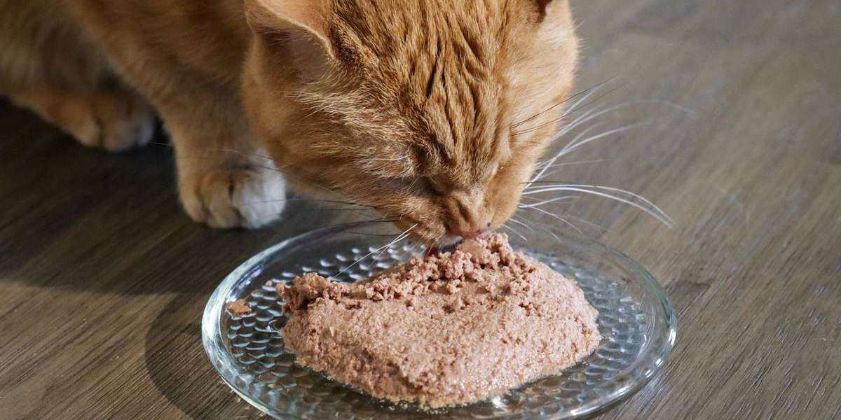 Animal Feed Antioxidants Market Size Outlook: Growth Trajectory and Global Expansion Patterns