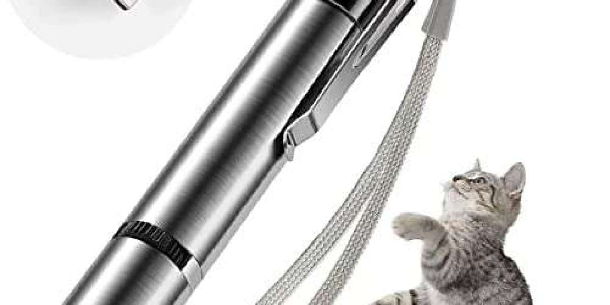 Essential Grooming Tips for Pets with Bubbitas Products