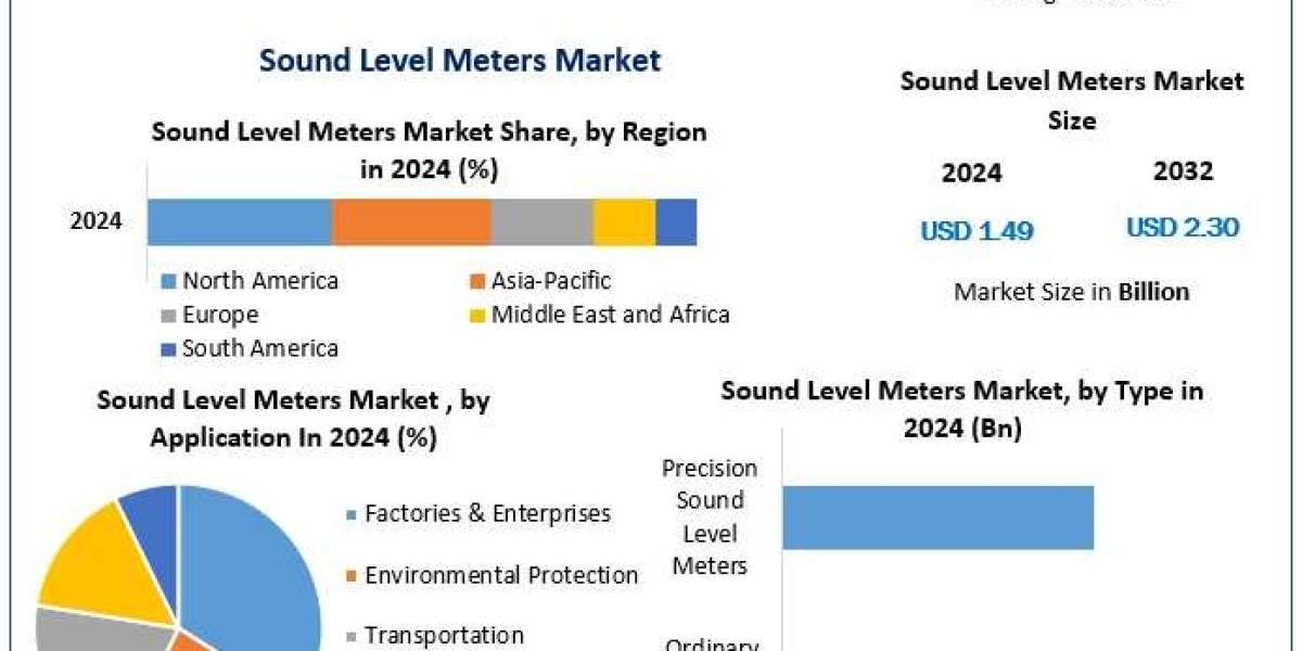 Sound Level Meters Market Drivers, Innovations, and Growth Pathways (2025-2032)