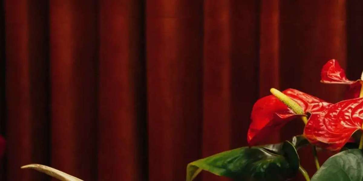 Drole De Monsieur Modern Clothing for Confident Styling