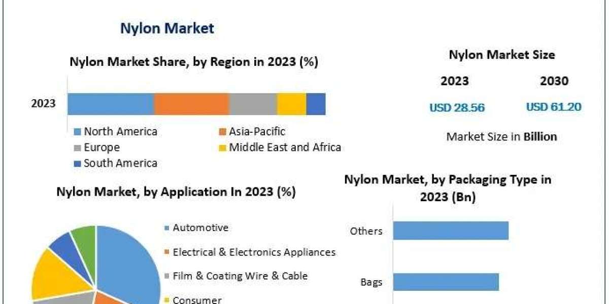 Nylon Market Top Companies Overview and Market Positioning 2024-2030