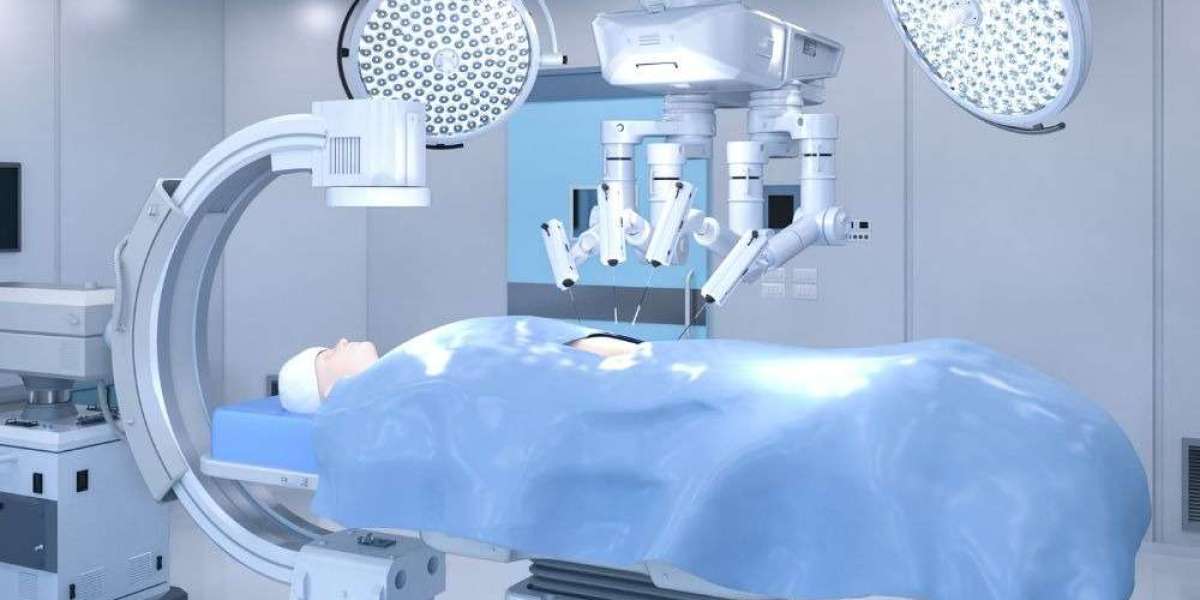 India Surgical Navigation Systems Market Growth, Share, and Trends Report 2025-2033