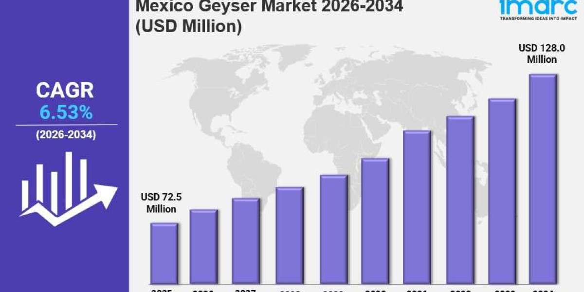 Mexico Geyser Market Size, Share, Trends, Growth Factors and Forecast 2026-2034