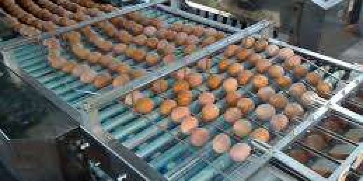 Biosecurity and Hygienic Design in Egg Collecting Equipment: Market Opportunities (2025–2034)