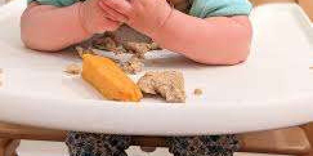 Vegan Baby Food Market Reports Regional Demand Convergence Trends