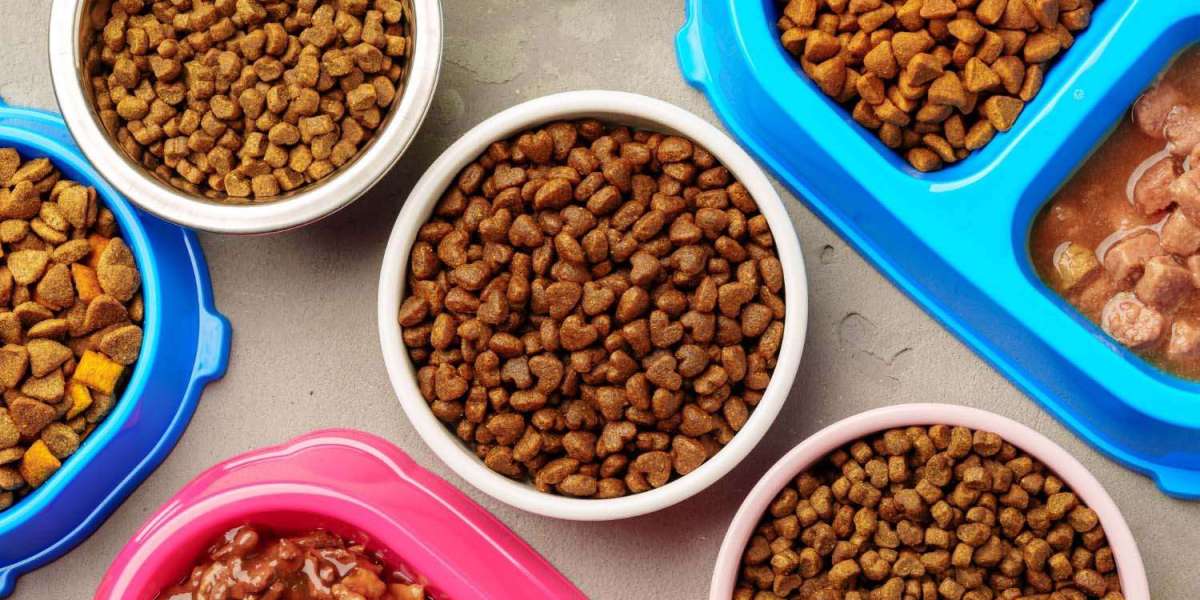 Energy-Efficient Extrusion and Drying for Pet Food: Sustainability and Cost-Down Roadmap (2025–2034)