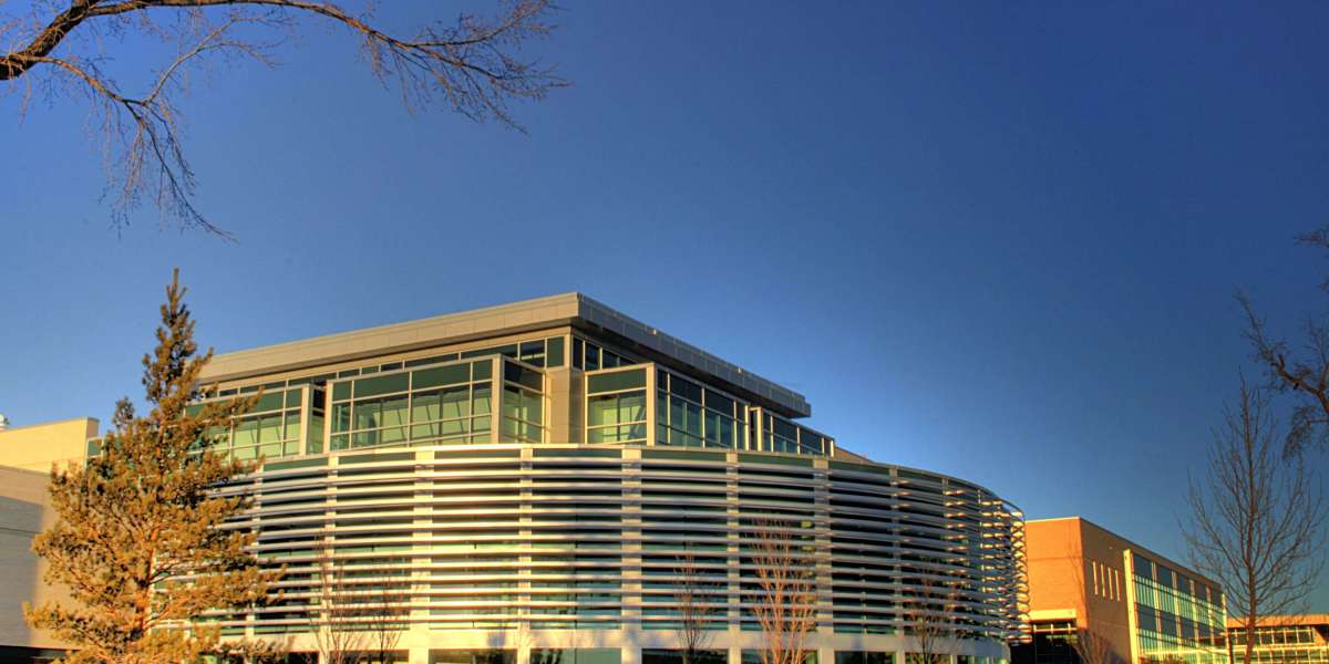 Canadian Institute of Technology: Shaping the Future Through Innovation, Education, and Global Vision