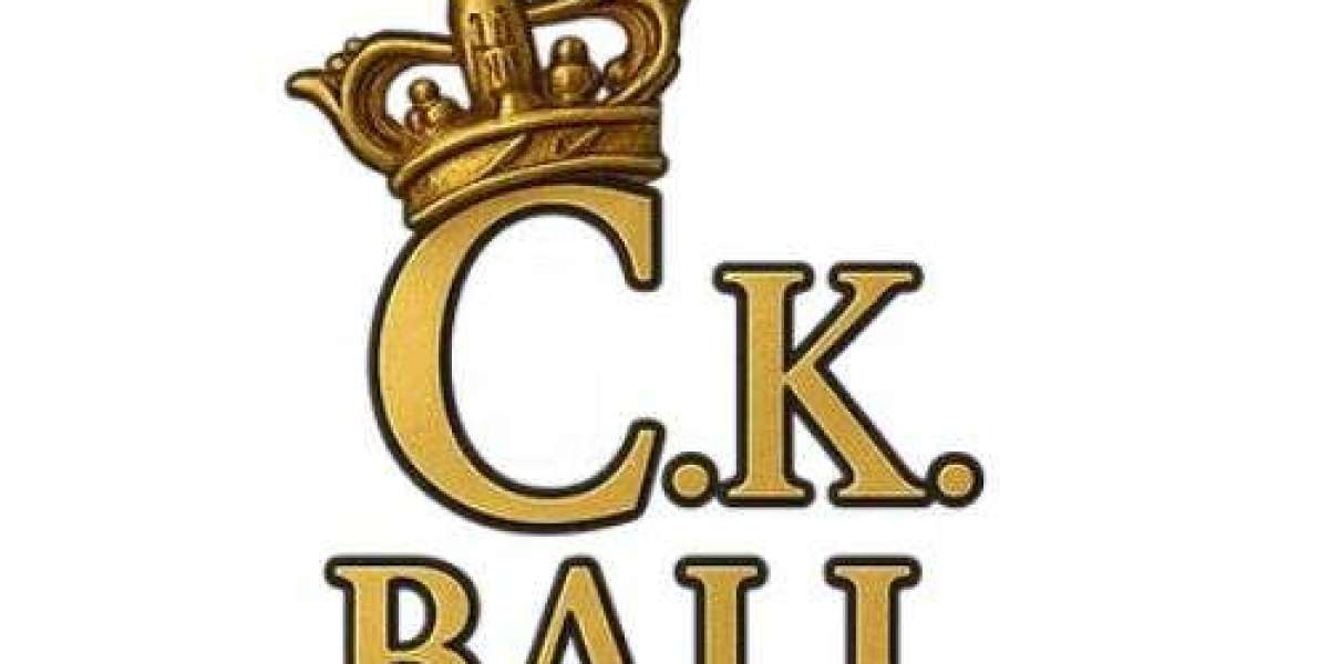 Discover the Ultimate Comfort with Rollo the Walker – Your New Everyday Essential