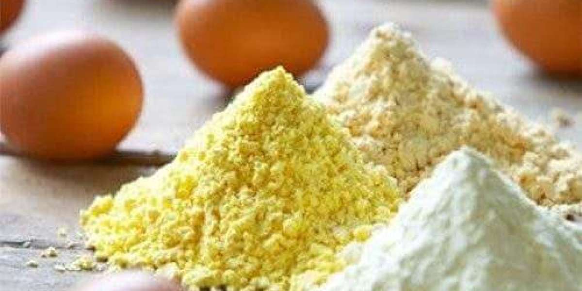 Regional Opportunities in Egg Protein Powder: North America, Europe, APAC, and Emerging Markets