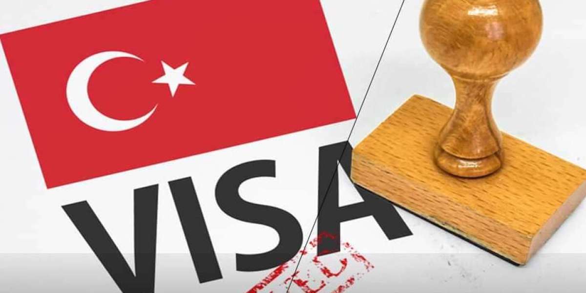 TURKEY BUSINESS VISA and TURKEY TOURIST VISA GUIDE: Complete Application Overview