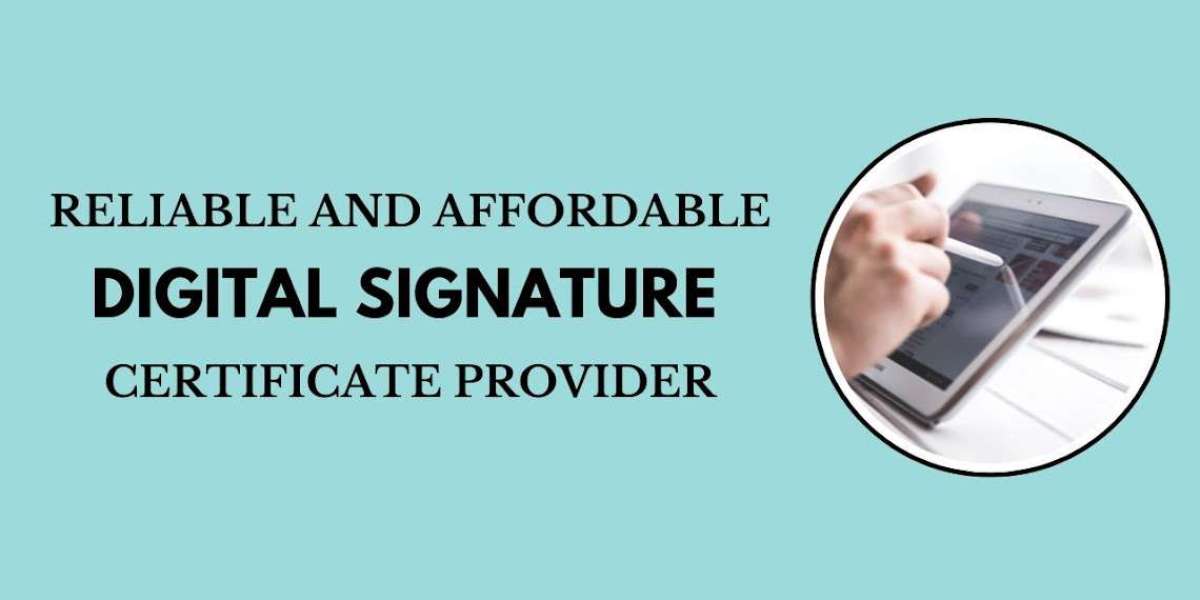 Reliable and Affordable Digital Signature Certificate Provider
