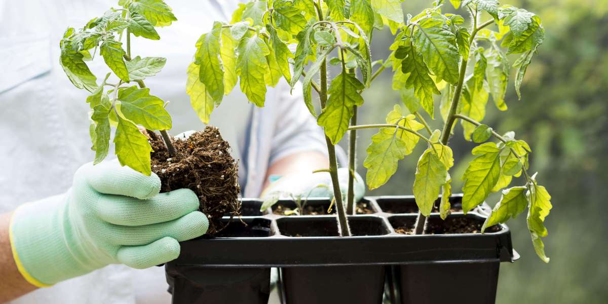 Plant Growth Regulators Market Regional Outlook 2025–2034: Asia-Pacific, Americas, Europe, and MEA Opportunities