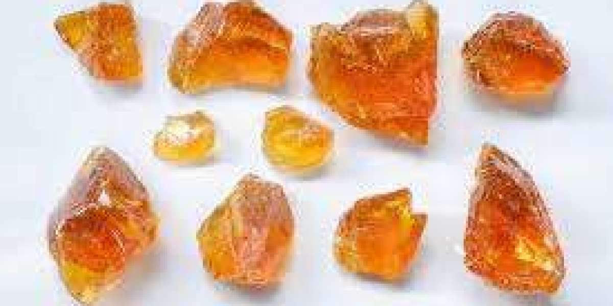 Gum Rosin Market Competitive Analysis and Key Player Strategies