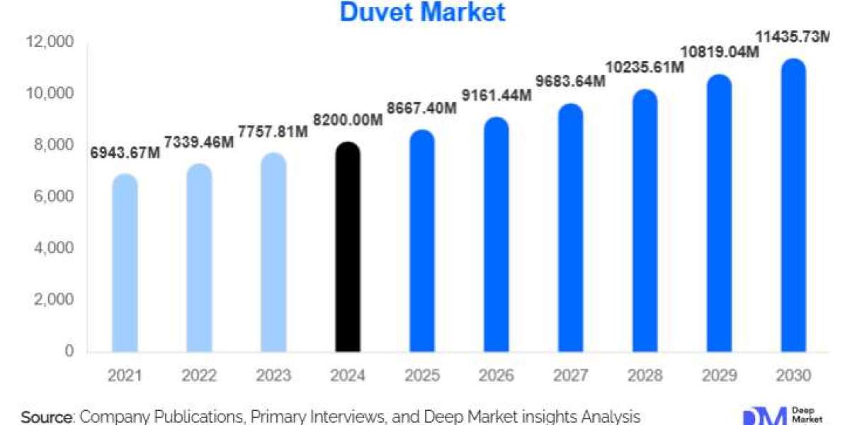 Duvet Market Insights: Size, Forecast, and Strategic Analysis l 2025-2030