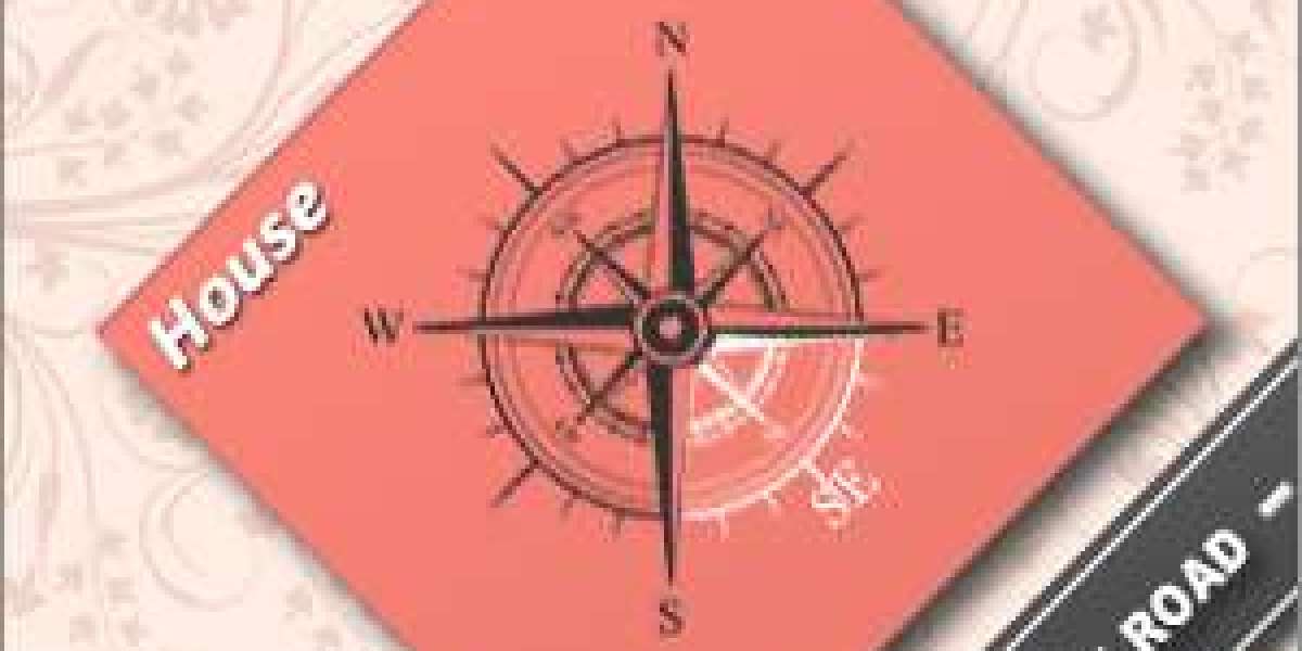 Vastu Specialist in Berlin – Transform Your Space With Authentic Vastu Expertise