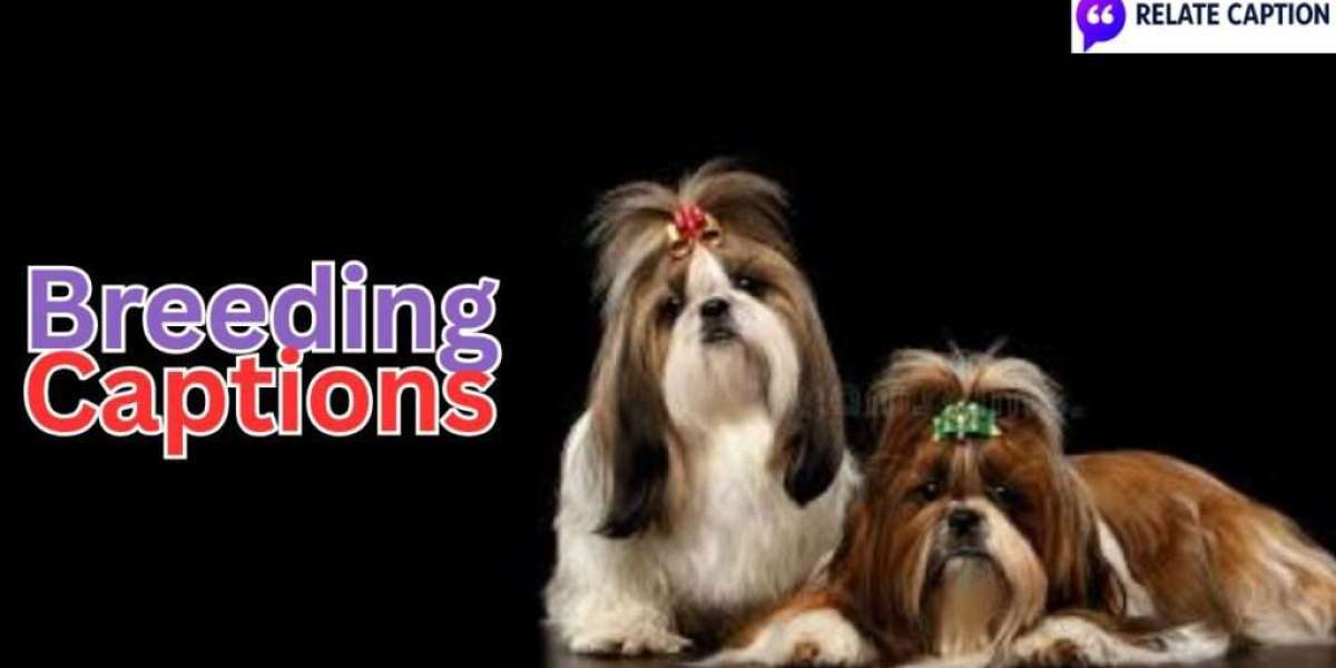 The Power of Captions in Social Media Marketing