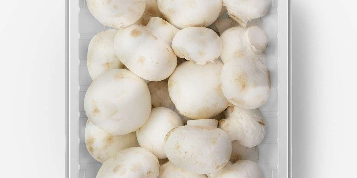 Mushroom Packaging Market Analysis Covering Emerging Product Designs and Packaging Solutions